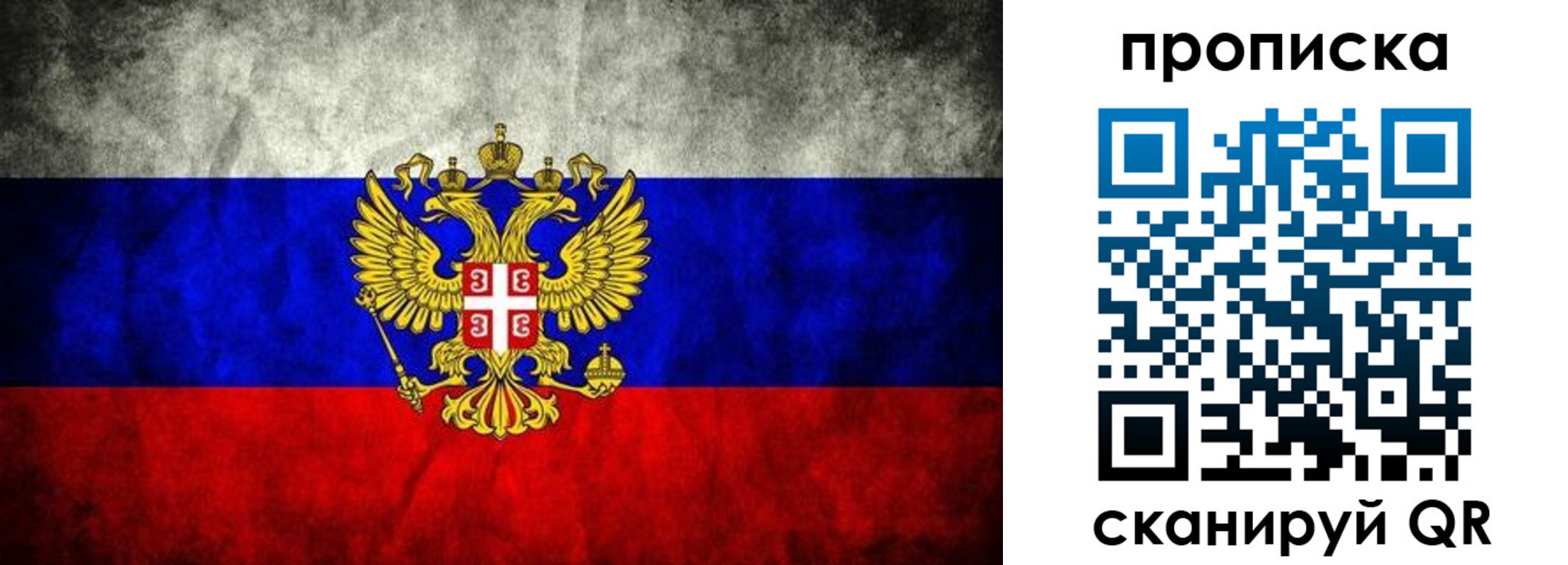 прописка поиск в Новочеркасске